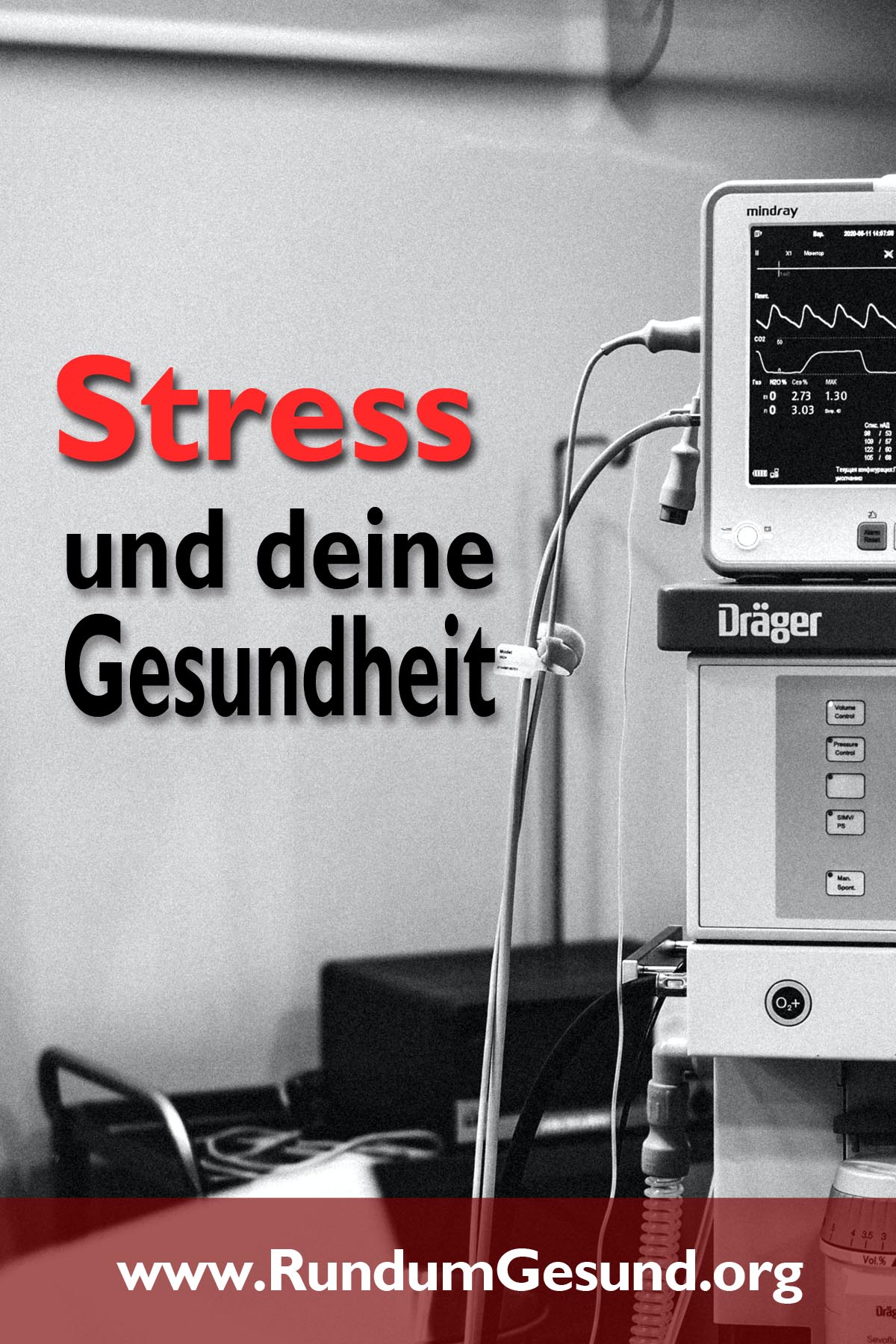 Stress und deine Gesundheit