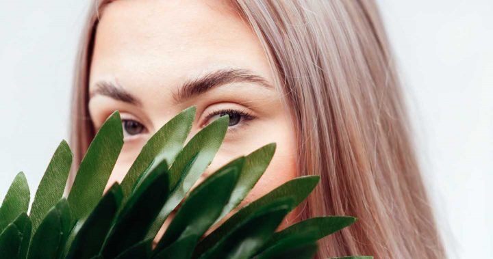 Verstecken - Foto von Anete Lusina from Pexels