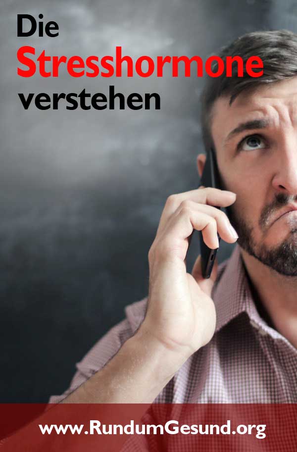 Die Stresshormone verstehen