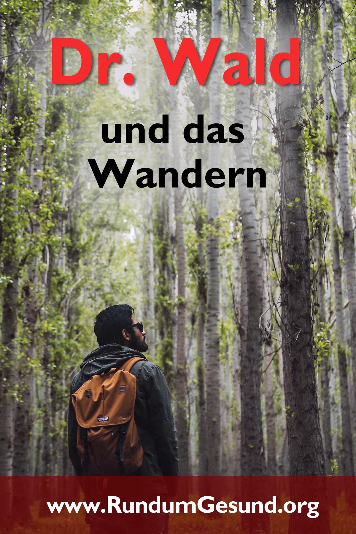 Dr. Wald und das Wandern