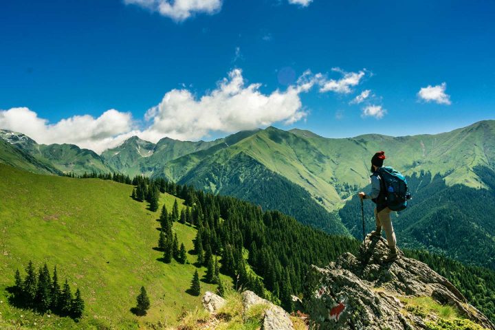 Ein Wanderer in den Bergen schaut auf den Wald unter der Baumgrenze